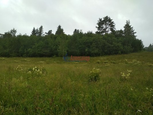 Продам участок 319,75 соток, Фермерское хоз., Микли п, 220 км от города