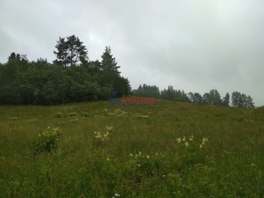 Продам участок 319,75 соток, Фермерское хоз., Микли п, 220 км от города