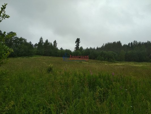 Продам участок 319,75 соток, Фермерское хоз., Микли п, 220 км от города