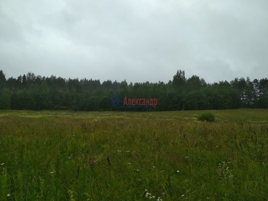 Продам участок 319,75 соток, Фермерское хоз., Микли п, 220 км от города