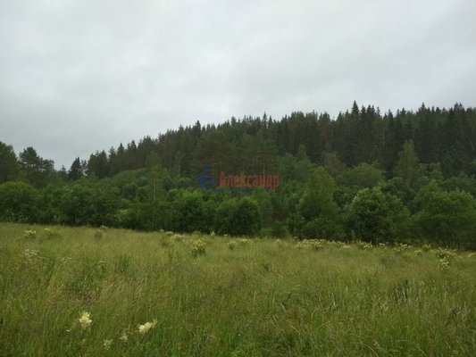 Продам участок 319,75 соток, Фермерское хоз., Микли п, 220 км от города