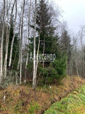 Продам участок 10 соток, Садоводство, СНТ Алмаз массива Березово тер, 140 км от города