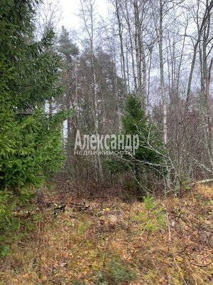 Продам участок 10 соток, Садоводство, СНТ Алмаз массива Березово тер, 140 км от города