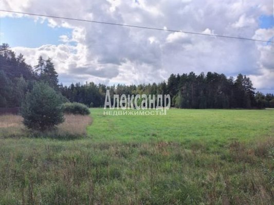 Продам участок 600 соток, Фермерское хоз., Снетково тер, Ларионово п, 131 км от города