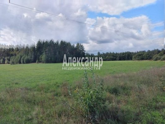 Продам участок 600 соток, Фермерское хоз., Снетково тер, Ларионово п, 131 км от города
