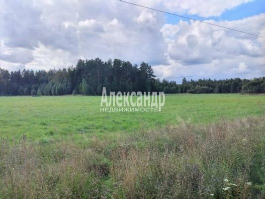 Продам участок 600 соток, Фермерское хоз., Снетково тер, Ларионово п, 131 км от города