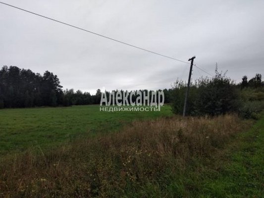 Продам участок 600 соток, Фермерское хоз., Снетково тер, Ларионово п, 131 км от города