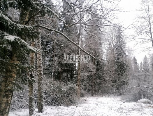 Продам участок 14,5 соток, ЛПХ, Бурнево п, 140 км от города