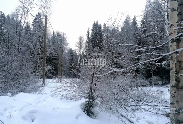 Продам участок 14,5 соток, ЛПХ, Бурнево п, 140 км от города