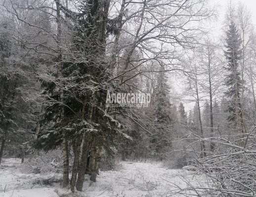 Продам участок 14,5 соток, ЛПХ, Бурнево п, 140 км от города