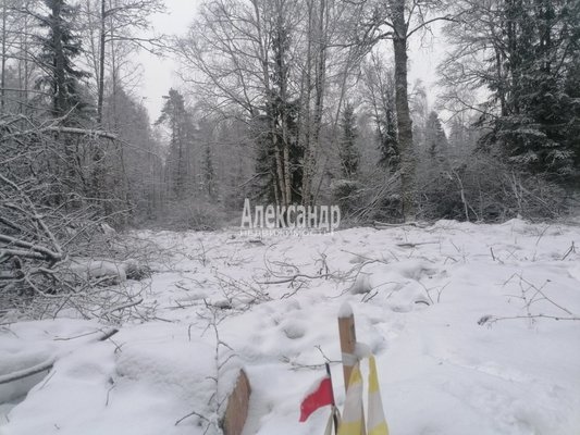 Продам участок 14,5 соток, ЛПХ, Бурнево п, 140 км от города