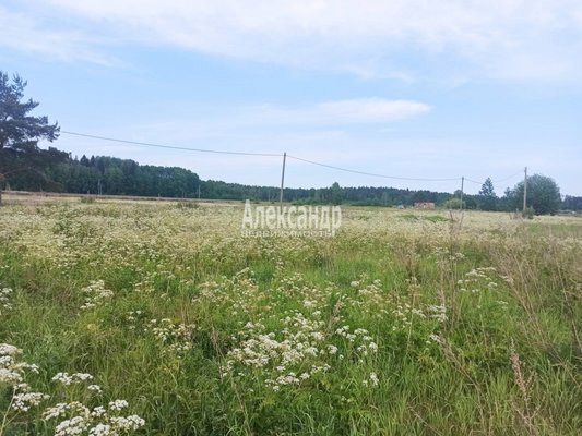 Продам участок 10 соток, ИЖС, 3-й Полевой проезд, Селезнево п, 140 км от города