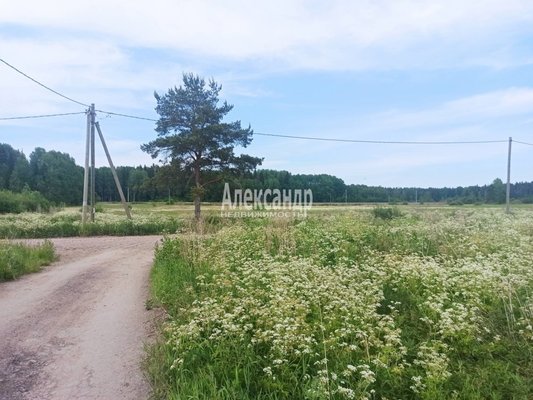 Продам участок 10 соток, ИЖС, 3-й Полевой проезд, Селезнево п, 140 км от города