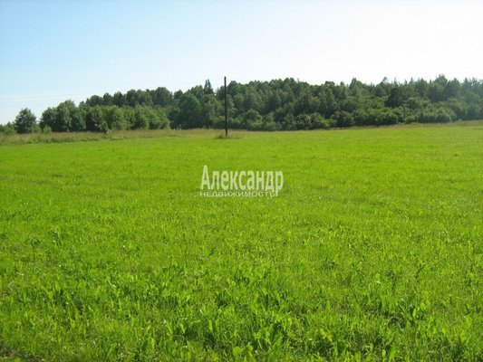 Продам участок 170 соток, ЛПХ, Лавиярви п, 240 км от города