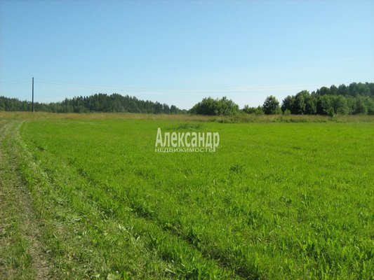 Продам участок 170 соток, ЛПХ, Лавиярви п, 240 км от города
