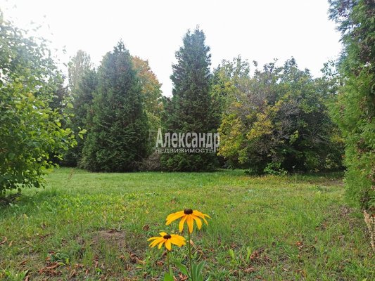 Продам дом, Набережная ул, Баньково д, 144 км от города