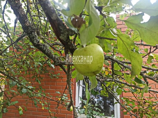 Продам дом, Набережная ул, Баньково д, 144 км от города