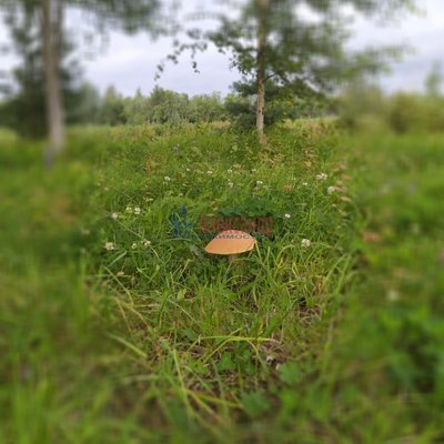 Продам дом, Прибрежная ул, 8А, Солнечное п, 119 км от города