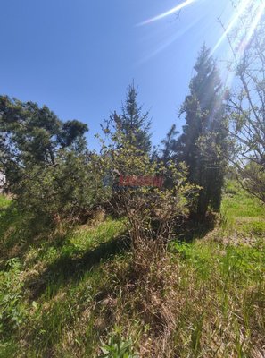 Продам дом, 10-я (Контакт тер. СНТ) линия, 281, Новинка массив, 108 км от города