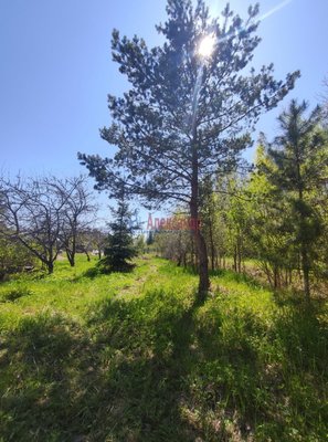 Продам дом, 10-я (Контакт тер. СНТ) линия, 281, Новинка массив, 108 км от города