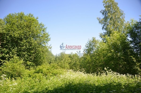 Продам участок 50 соток, ЛПХ, д. 1, Хабалинка д, 156 км от города