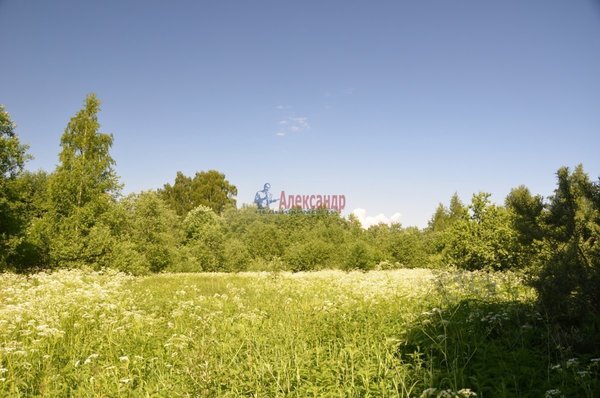 Продам участок 50 соток, ЛПХ, д. 1, Хабалинка д, 156 км от города