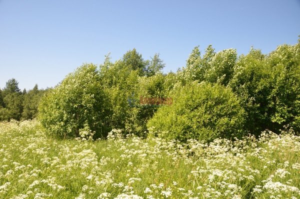 Продам участок 50 соток, ЛПХ, д. 1, Хабалинка д, 156 км от города