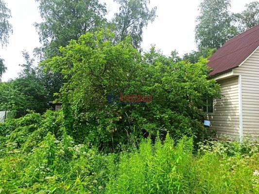 Продам дом, Рябиновый Мыс ул, Выборг г, 131 км от города