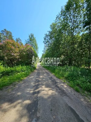 Продам участок 10 соток, ИЖС, Аркадия Маркова ул, Лахденпохья г, 200 км от города