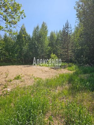Продам участок 10 соток, ИЖС, Аркадия Маркова ул, Лахденпохья г, 200 км от города