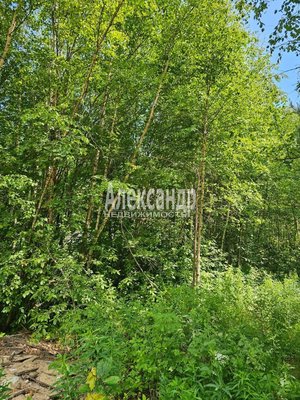 Продам участок 10 соток, ИЖС, Аркадия Маркова ул, Лахденпохья г, 200 км от города