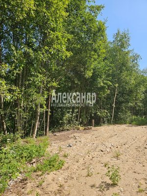Продам участок 10 соток, ИЖС, Аркадия Маркова ул, Лахденпохья г, 200 км от города