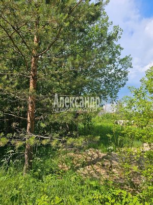 Продам участок 10 соток, ИЖС, Аркадия Маркова ул, Лахденпохья г, 200 км от города