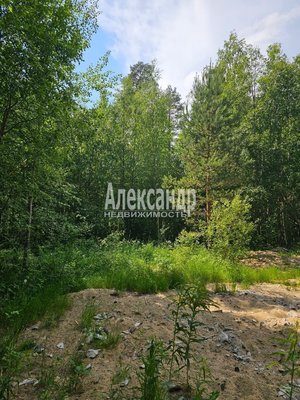 Продам участок 10 соток, ИЖС, Аркадия Маркова ул, Лахденпохья г, 200 км от города