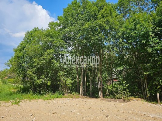Продам участок 10 соток, ИЖС, Аркадия Маркова ул, Лахденпохья г, 200 км от города