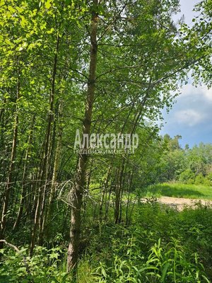 Продам участок 10 соток, ИЖС, Аркадия Маркова ул, Лахденпохья г, 200 км от города
