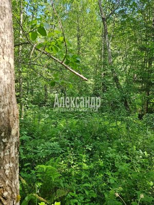 Продам участок 10 соток, ИЖС, Аркадия Маркова ул, Лахденпохья г, 200 км от города