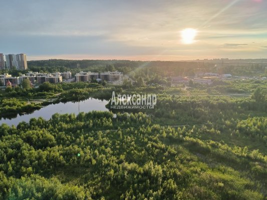 Продам однокомнатную (1-комн.) квартиру, Николая Рубцова ул, д. 12 корп. 1, Парголово п