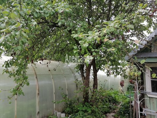 Продам участок 34 соток, ЛПХ, д. 17, Вериговщина д, 91 км от города