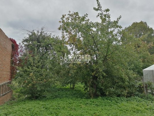 Продам участок 34 соток, ЛПХ, д. 17, Вериговщина д, 91 км от города