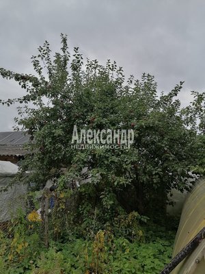 Продам участок 34 соток, ЛПХ, д. 17, Вериговщина д, 91 км от города