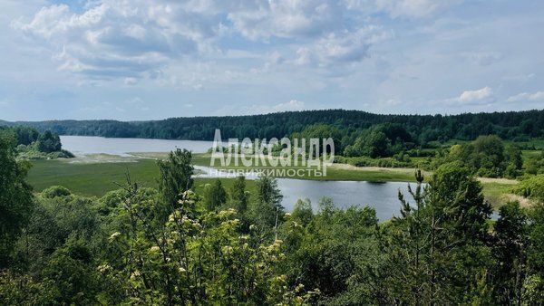 Продам участок 60 соток, ИЖС, Болотный проезд, д. 6 корп. -, Михалево п, 168 км от города