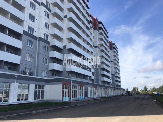 Продам однокомнатную (1-комн.) квартиру, Московское ш, д. 258 корп. 2, Шушары п