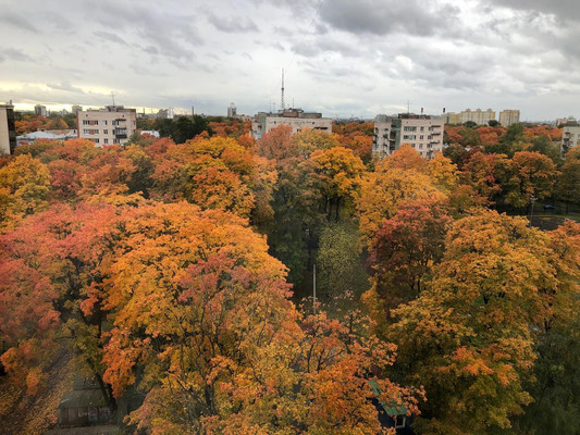 Сдам трехкомнатную (3-комн.) квартиру, Пархоменко пр-кт, 19к1, Санкт-Петербург г