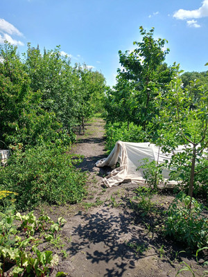 Продам дом, Рыбацкая ул, 11, Воронеж г, 0 км от города