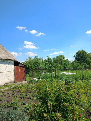 Продам дом, Рыбацкая ул, 11, Воронеж г, 0 км от города