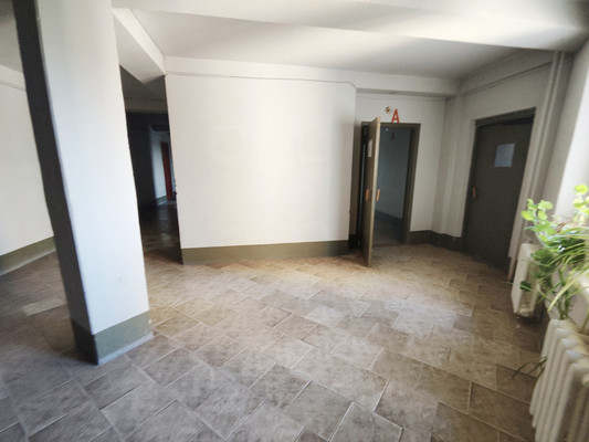 Продам однокомнатную (1-комн.) квартиру, Пеше-Стрелецкая ул, 91, Воронеж г