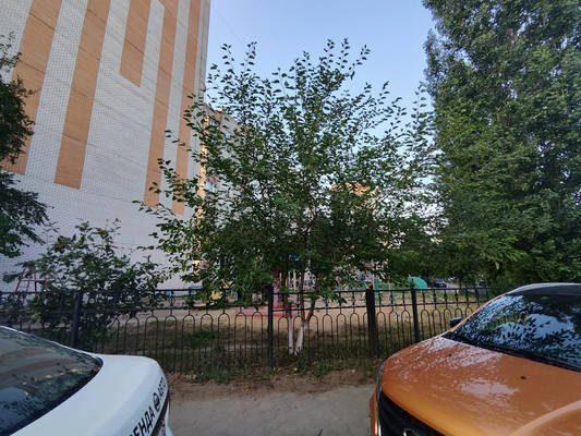 Продам однокомнатную (1-комн.) квартиру, Пеше-Стрелецкая ул, 91, Воронеж г