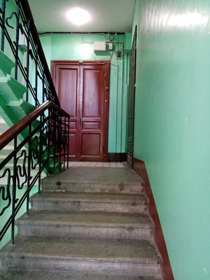 Продам многокомнатную квартиру, Малый П.С. пр-кт, 20А, Санкт-Петербург г