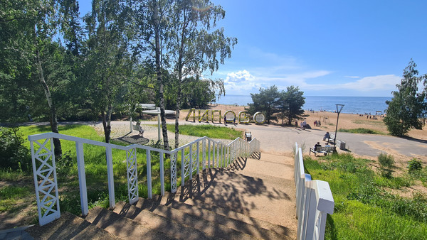 Продам участок 10 соток, Фермерское хоз., Мира ул, Сосновый Бор г, 0 км от города